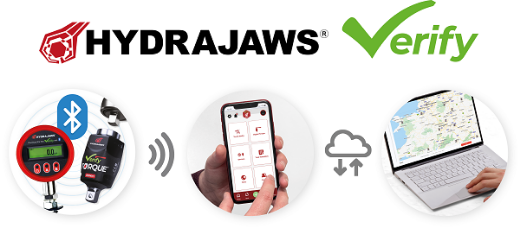Verify App Logo
